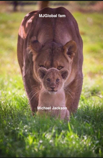 MJJJusticePrjct's tweet photo. A Graphic explanation of #MichaelJackson fanfamily  behind him- He looked at the world with innocent eyes, tried to find goodness in all people &amp; he was repeatedly injured and stabbed in the back. That sh!t ain't gonna fly no mo'-  #trust - WE STAND WITH MJ and #WeAreTheWorld https://t.co/6y5AV1JSoD