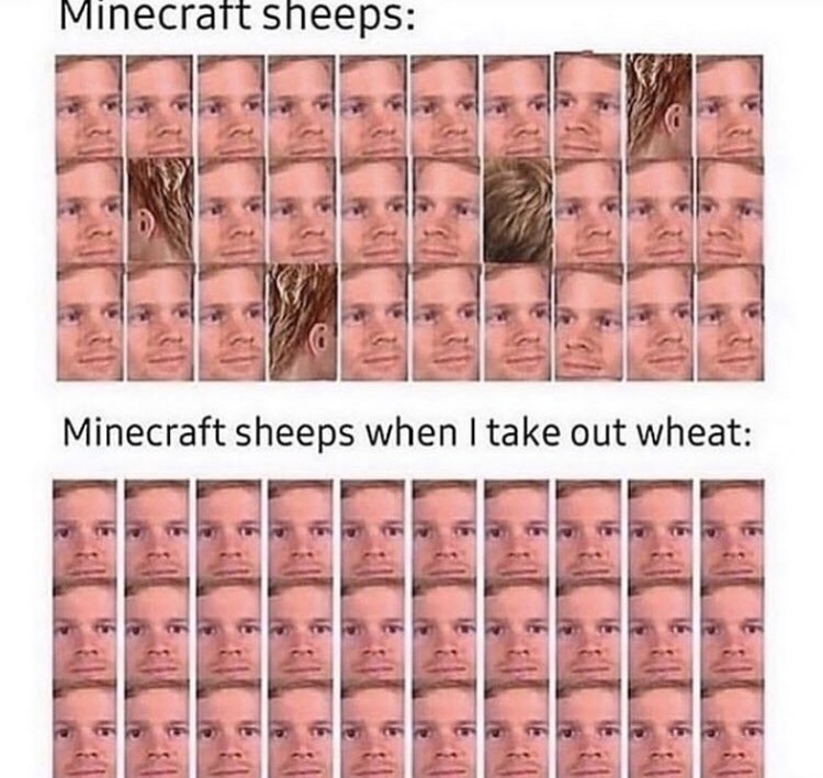 rknni_'s tweet photo. ุฏุงูู
ู
ูู
ุฒ ู
ุงูููุฑุงูุช ุชุถุญู #minecraft_memes https://t.co/edpdPFgsE8