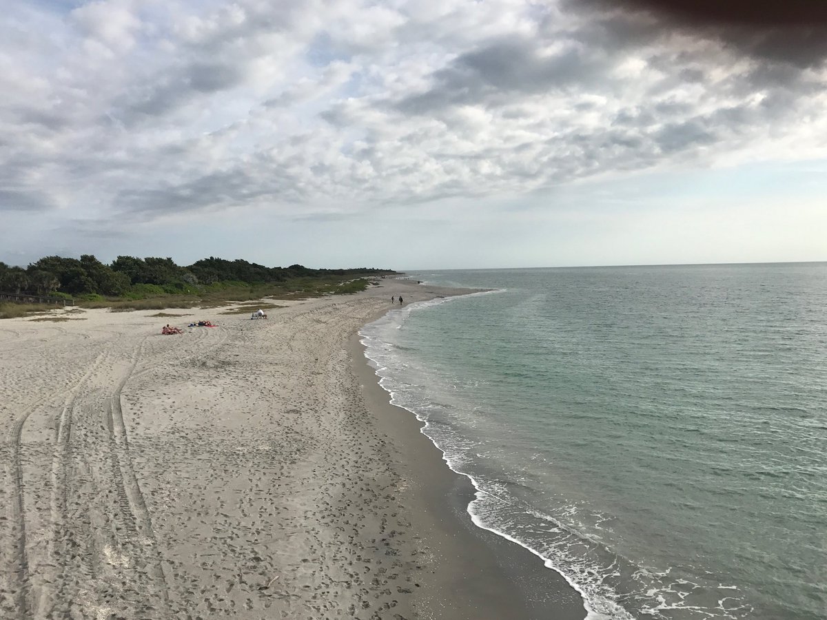 DuhaneCliveTV's tweet photo. Seas and Greetings #Sarasota #Gulfside #Florida https://t.co/PlybJPU0fJ