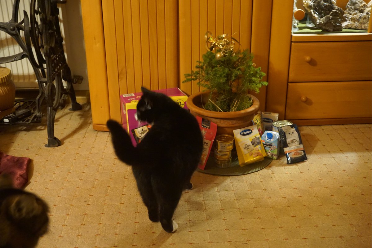 PaulaUndDonny's tweet photo. We hope everyone has had a wonderful Christmas and got lots of presents. We got so much food that we're willing to share... in case anyone here is still hungry. https://t.co/kLkrWKVe7t