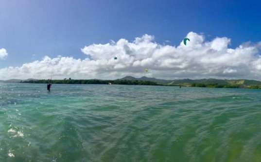 ClubCnv's tweet photo. Cours de #kitesurf avec Pierre. Tranquille le chat. #Soleil, eau 25 degrés, 14 noeuds de vent, 40 cm d'eau. What else ? 
#kiteboarding
#martinique
#quoifaireenmartinique
#activitésnautiques
#loisirs
#plagesmartinique https://t.co/W5U1pfakre