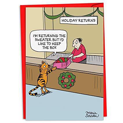 #BoxingDay #holidays #giftreturns #christmas #cats #catsofinstagram #funnycats #ilovecats #rescuecats #ThursdayThoughts