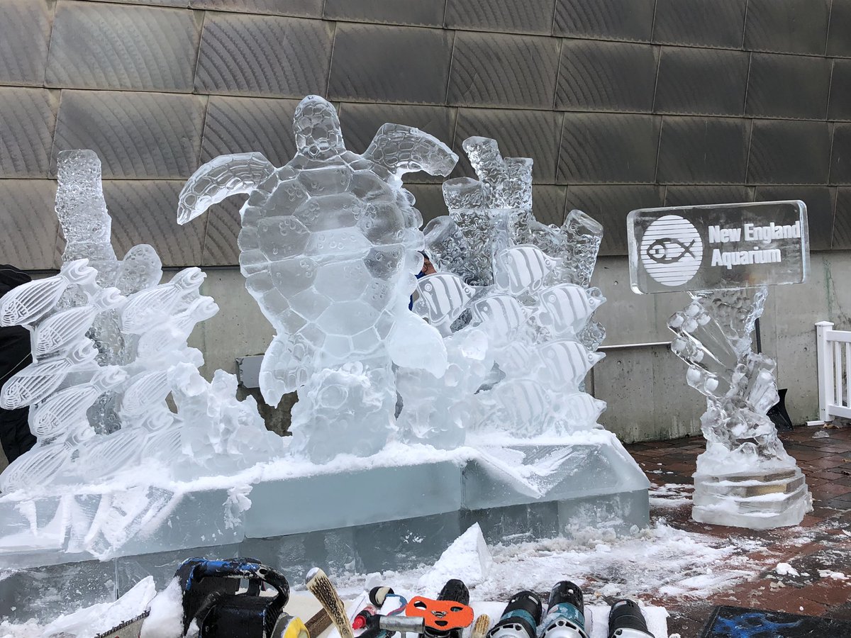 theBOSmom's tweet image. Ice sculptures! @NEAQ 

#Boston #BostonwithKids #DecemberBreak
