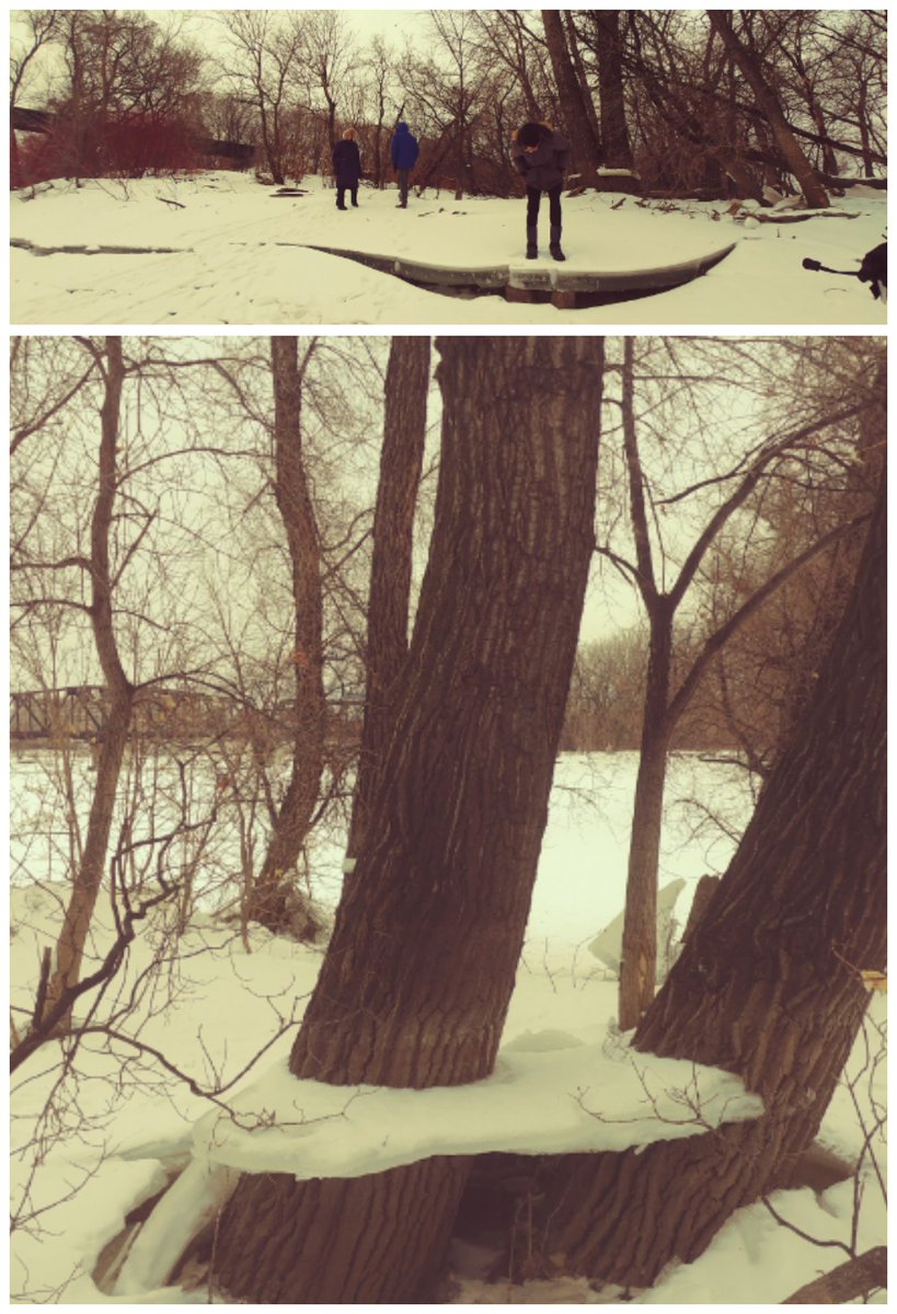 theseinetoday's tweet photo. Checking out Boxing Day shelves... ice shelves along #SeineRiver at #RedRiver
#Wpg #SaveourSeine https://t.co/yCr6NSrY0x