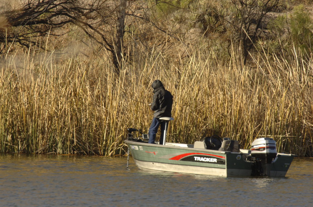 GoFishAZ's tweet image. Winter Fishing Forecast: Southeast - fishaz.azgfd.com/fishingforecas…