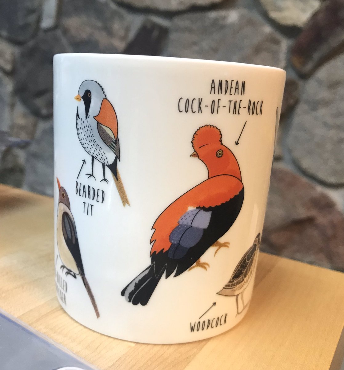 Zach Hazard On Twitter My Amazing Girlfriend Got Me This Mug That Has Birds With Dirty Sounding Names On It It S A Fowl Language Mug There S A Bird Saying Tit On The Inside Https T Co C4dcecdblj