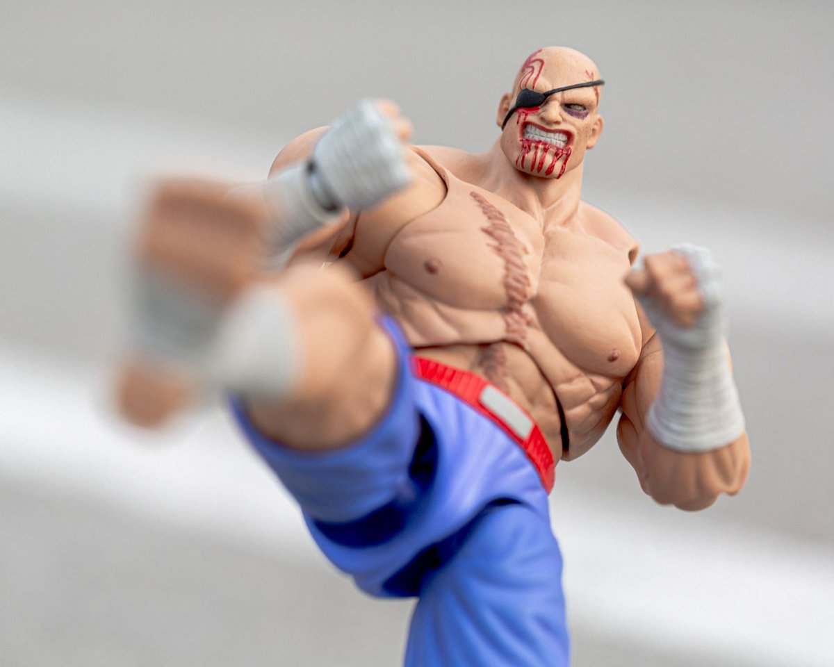 sagat storm collectibles