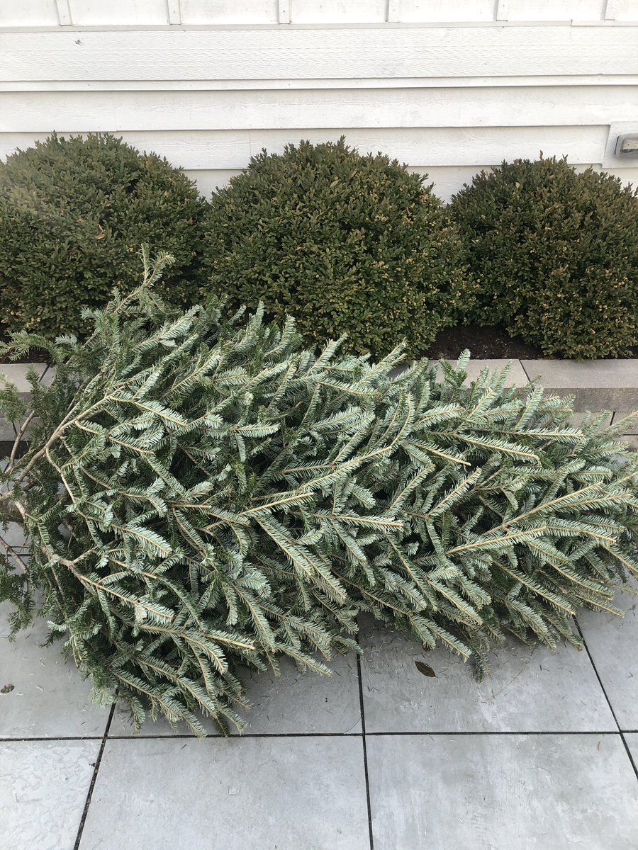 EricTheMix's tweet photo. So ready for 2020.  #christmasover #treeout #newyear #2020. https://t.co/VuZim5iJl6