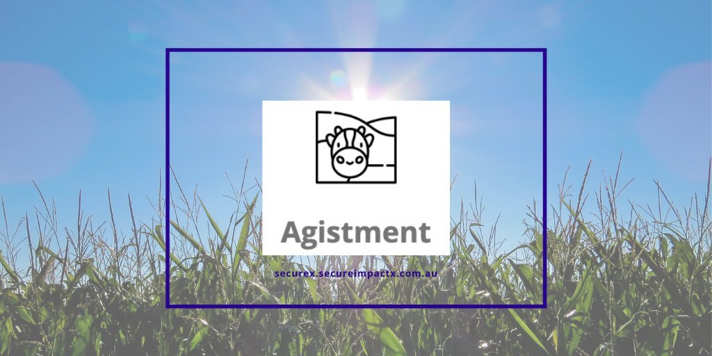 Secure Impact tweet media