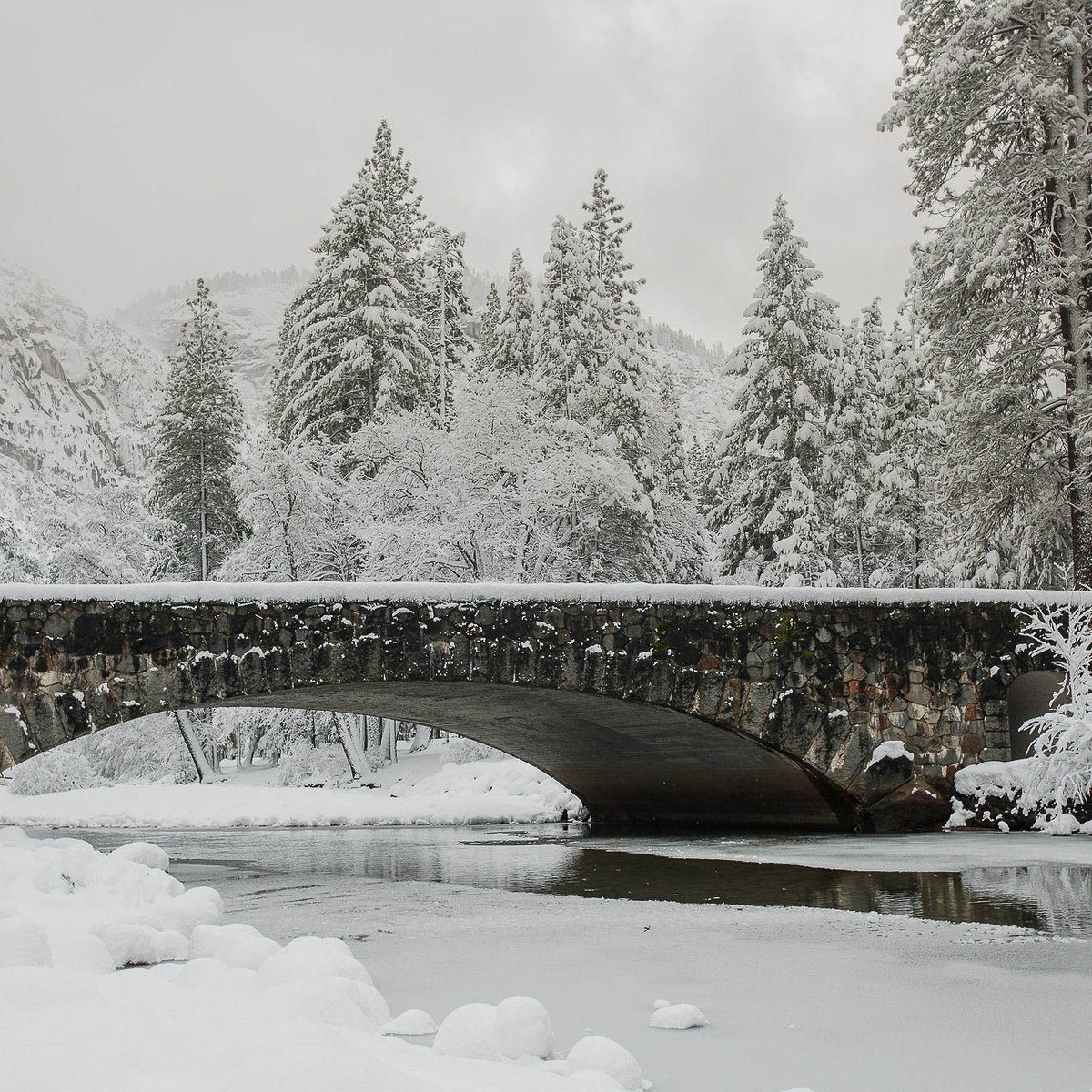 The Ladies Community tweet media