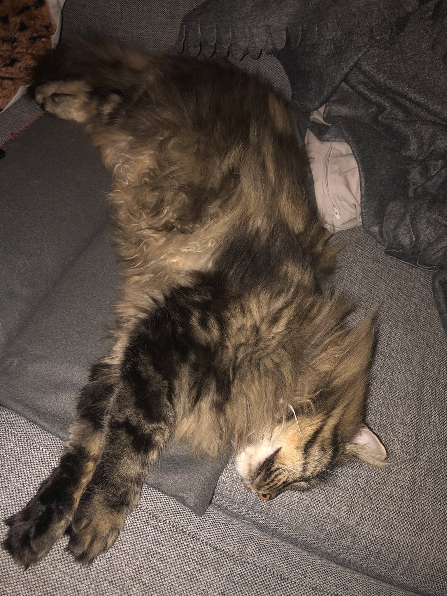 #nrksjakk #sjakk #sjakknatt