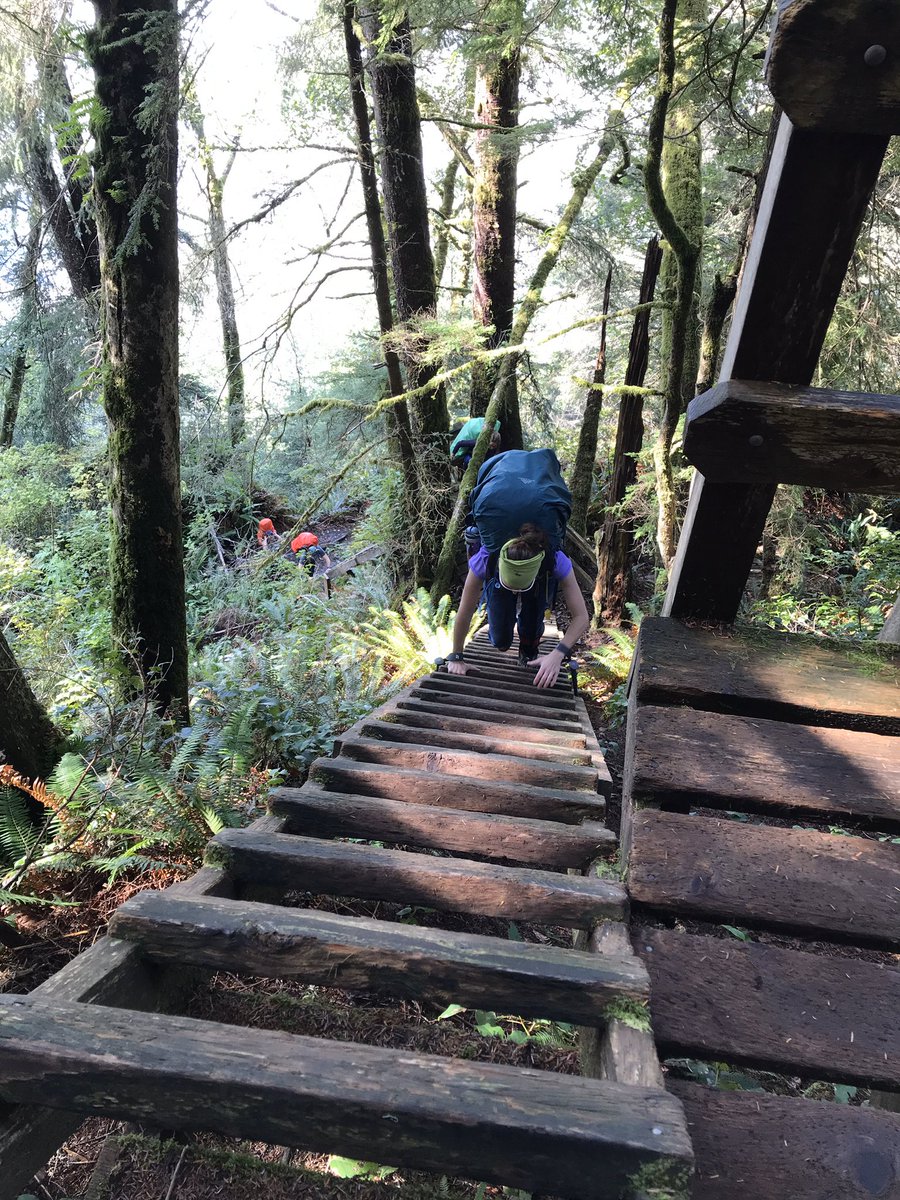 superchickenjon's tweet photo. First time in the boots since Sept @PacificRimNPR. Three theories for why my boots feel way too tight: 1. I wore thicker socks than usual 2. My feet gained a lot of weight over the holidays 3. My boots shrank when they FINALLY dried out after getting off the #WCT #hiking https://t.co/83At0s1UGR
