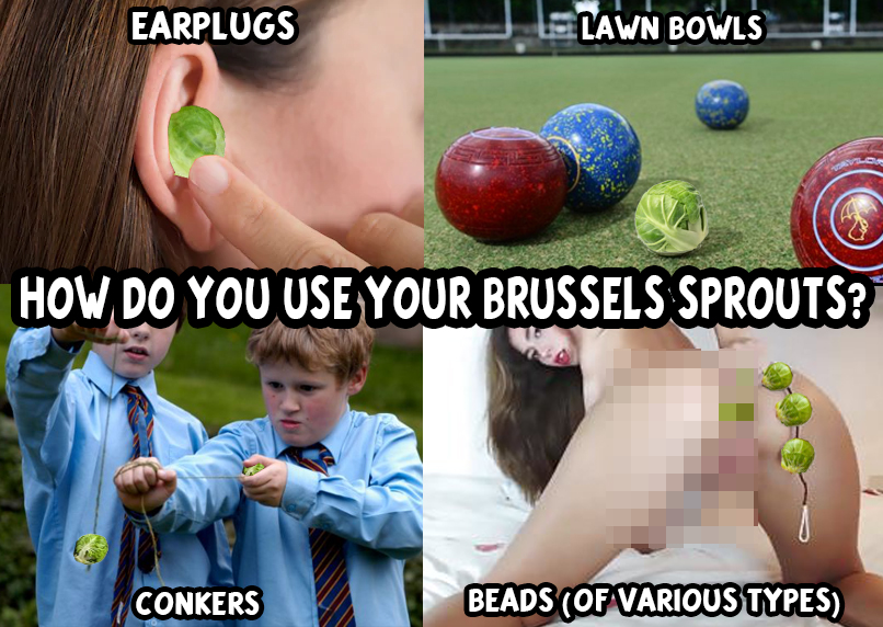 startartwithanf's tweet photo. Well, it's goodbye Christmas, but not goodbye #christmasmemes. We'll be celebrating brussels sprouts for #foodthursday today.

#ocmemes #uselessmemes #istartedartwithanf #startartwithanf #dumbmemes #sillyaf #badmemes #analbeads #brusselssprouts #christmasdinner https://t.co/lHQF6sawQt