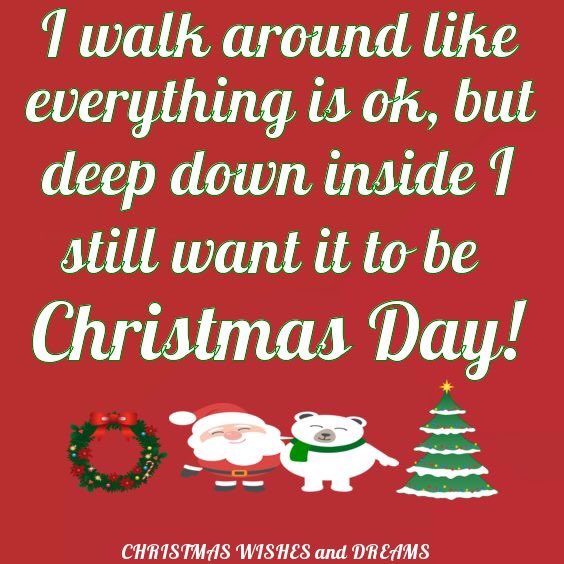 HolidayFunnnn's tweet photo. Hope everyone had a Amazing Christmas! It’s still Christmas week at least! 🎄🎅🏻☃️🦌🛷❄️🎁👼🏻🤶🏻🔔🧣🧝🏻‍♂️🎄🎅🏻 https://t.co/osLAqNyXhF
