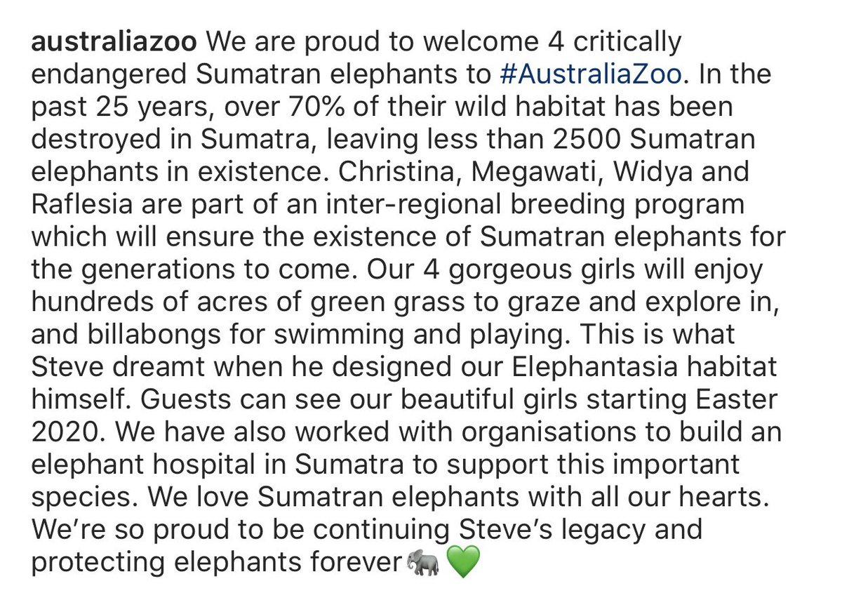 AustraliaZoo's tweet photo. Australia Zoo begins a new chapter to protect critically endangered species. We’re so proud to be continuing Steve’s mission and we love our beautiful girls beyond description💚🐘 
https://t.co/npkHJStiyq https://t.co/m93AZdtOQz