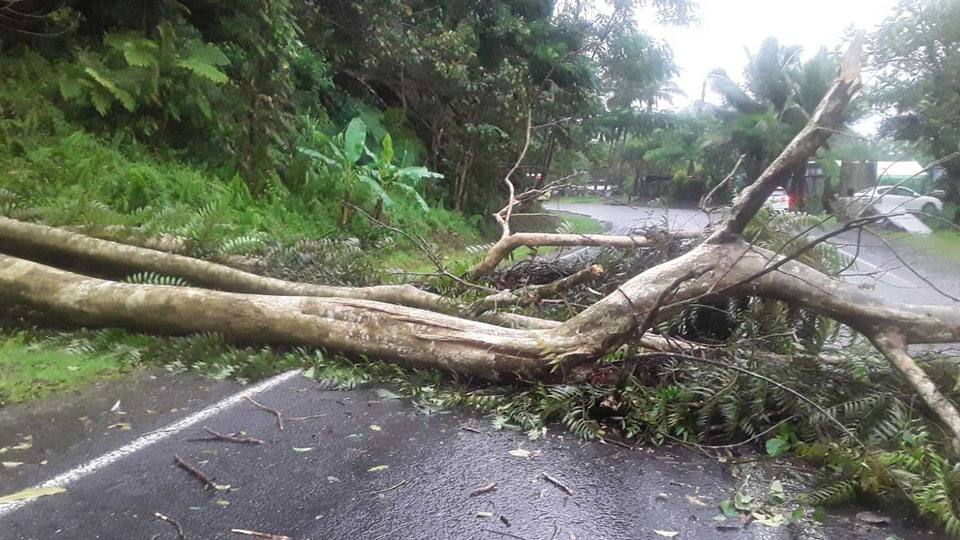 FBC_News's tweet photo. Heavy rain this morning has caused localized flooding along Navakuru Road in the Northern Division.
https://t.co/urpb7R3pnF
#FBCNews #TCSarai #FijiNews #GetDisasterReady https://t.co/i2Fxnp7etS