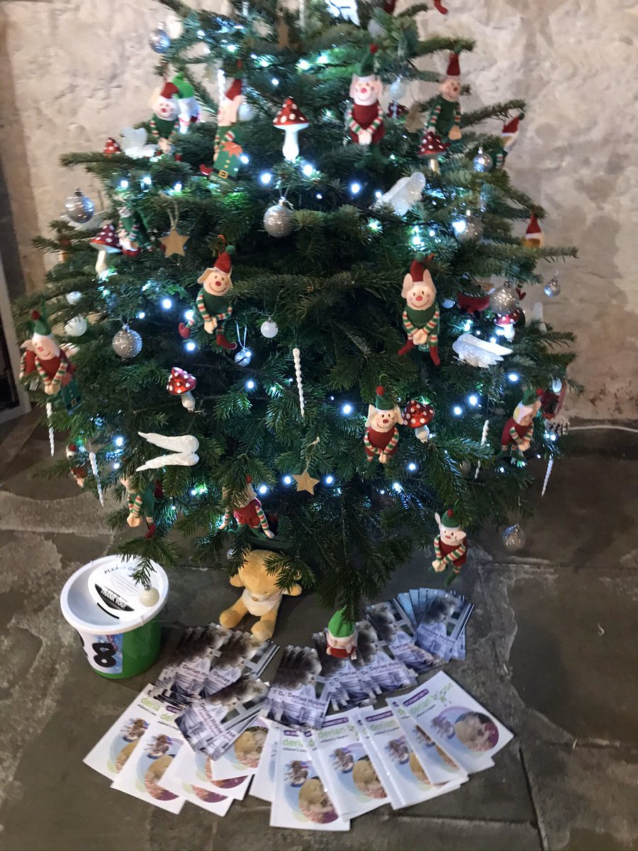 KendalTreeFest's tweet photo. Thank you to all the members of public who came to see the trees. 

We hope you enjoyed your visit 🎄🎄🎄🎄 https://t.co/CRsGv1afGh