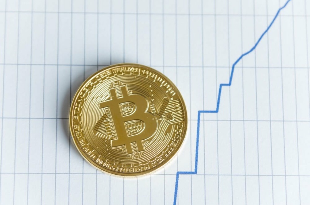 Coin News Telegraph tweet media