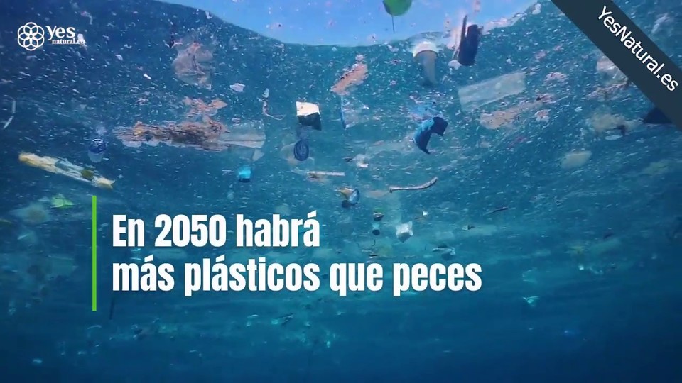 YesNatural_es's tweet photo. En el año 2050 la cantidad de plásticos superará a la de los peces - YouTube
https://t.co/A1BJzdMIav https://t.co/OfHLkMufKW