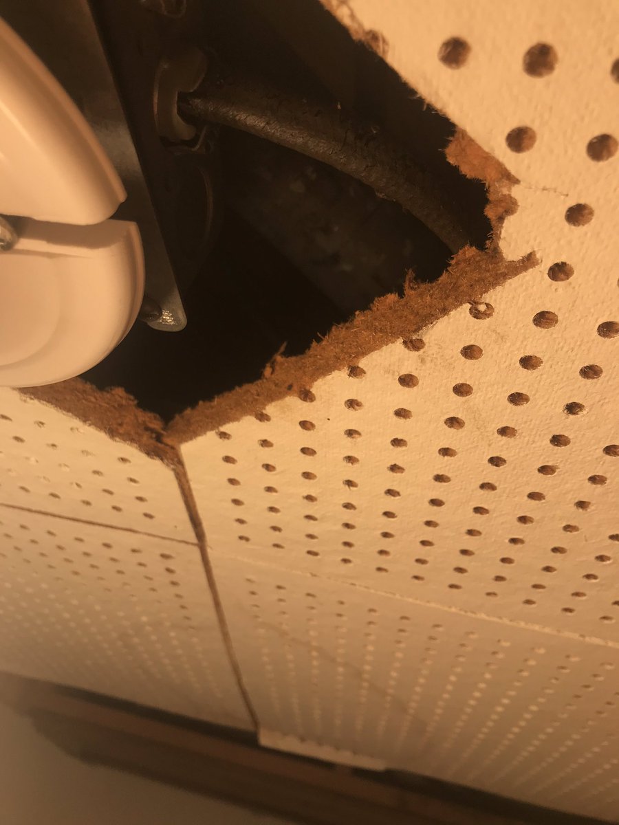 Livestrong Livestrong Staff Board On Twitter