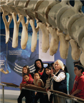 whalingmuseum's tweet image. #doubleyourimpact by making a gift to @whalingmuseum Annual Fund by Dec. 31 - our Board will match your donation! #matchinggift ow.ly/1uNS50xFkq3