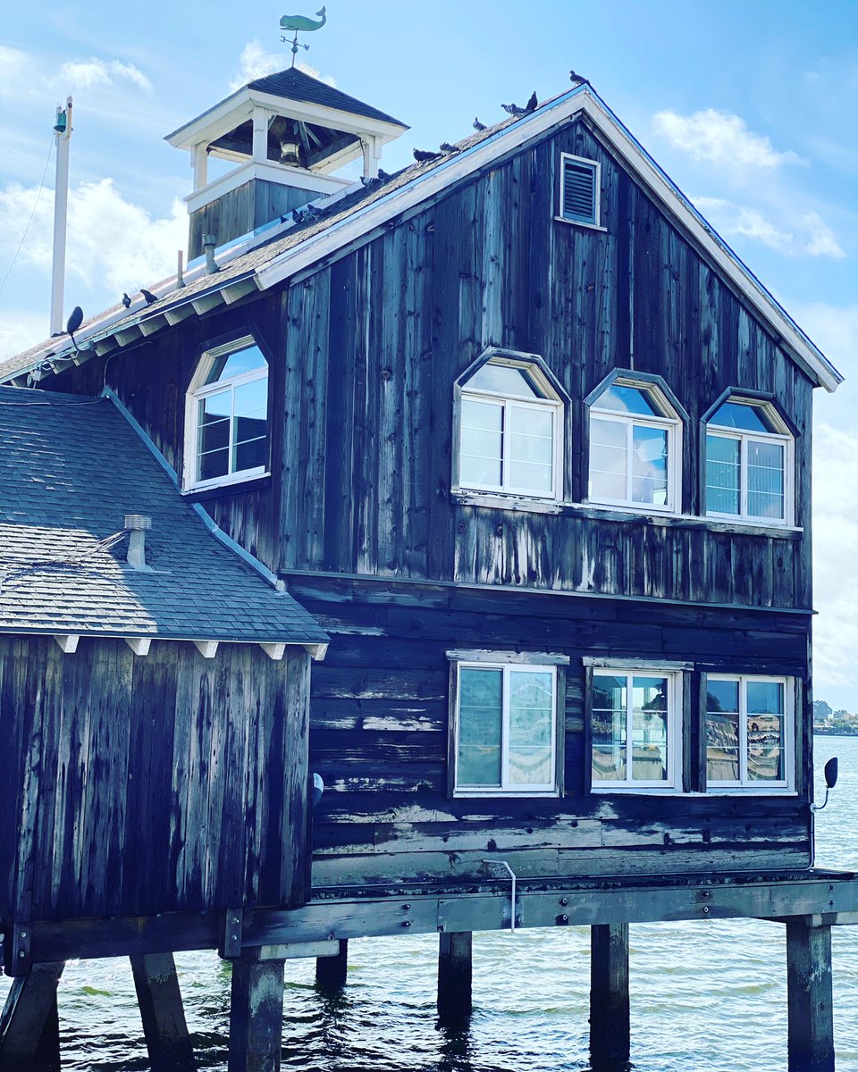 mc pigpen (@mcpigpen) on Twitter photo 