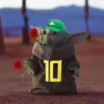 Coach__Chance's tweet photo. In honor of the Rose Bowl and the want to utilize the Force. Lol. #Scoda #GoDucks 🐥💚💛 #ItWorkedOnce NewProfilePic https://t.co/lh5C5zfDAi