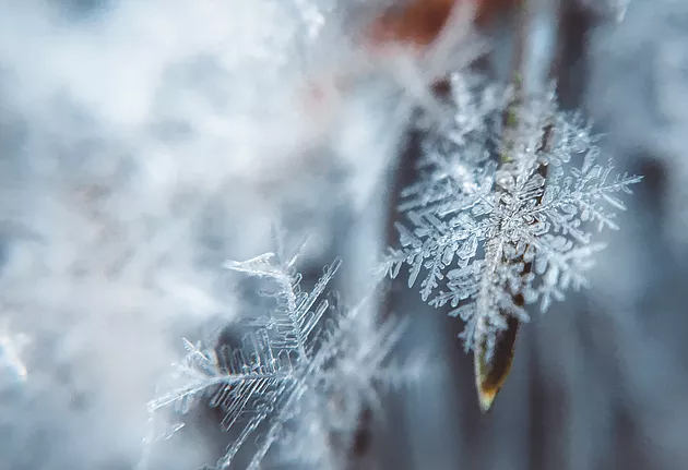 AdvancedParale1's tweet image. Happy Holidays from our family to yours! 

#AdvancedParalegalServices #Lawndale #LawndaleCA #HappyHolidays #ManhattanBeach #divorcelawyer #paralegal #parentalalienation #divorcecourt #bankruptcylaw #divorce #lovingafterdivorce #legaladvice #Gardena #uncoupling #Hawthorne