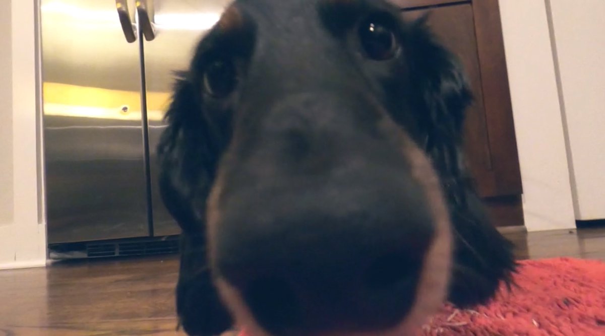 Willie Woo tweet media