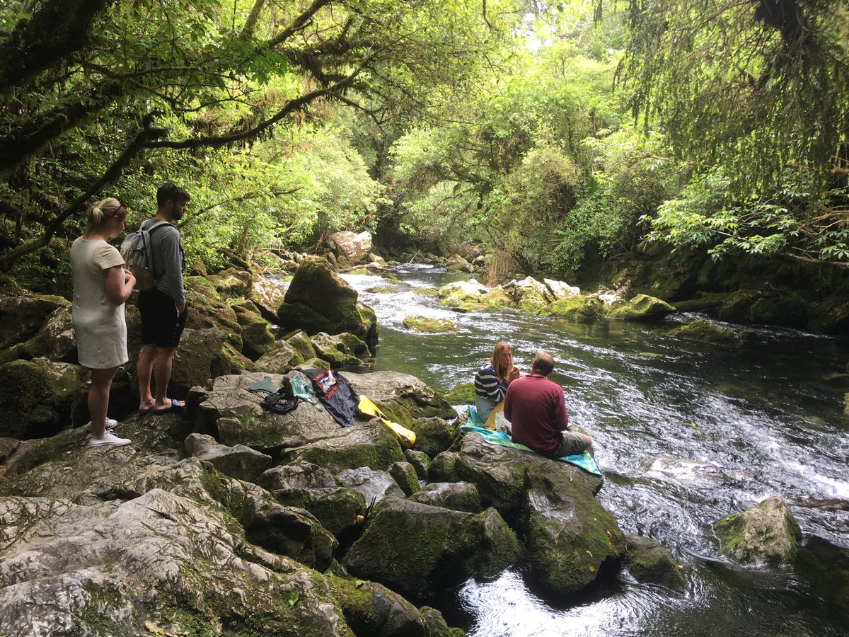 aquidity's tweet photo. Source of the Riwaka, Christmas Day #TasmanBay #Nelsonregion #unusualpicnicspot https://t.co/LFAgt3FeCC