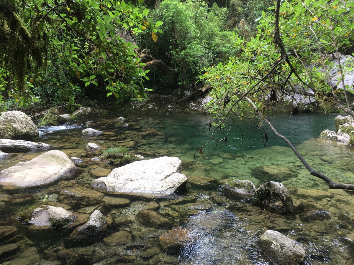 aquidity's tweet photo. Source of the Riwaka, Christmas Day #TasmanBay #Nelsonregion #unusualpicnicspot https://t.co/LFAgt3FeCC