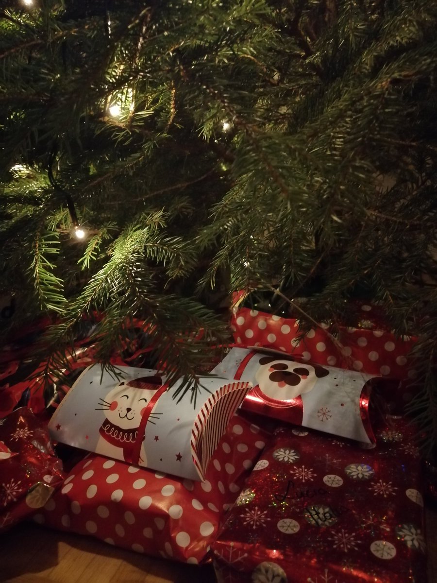 sashini96's tweet photo. #MerryChristmas  :) https://t.co/mjWKk6zuDp