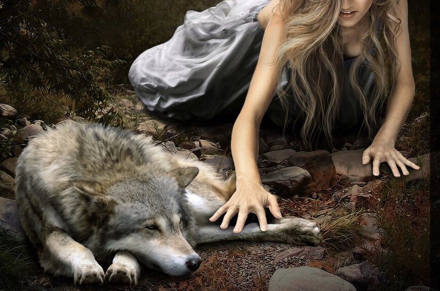 Carolinℯ (@vervainedvanity) on Twitter photo 