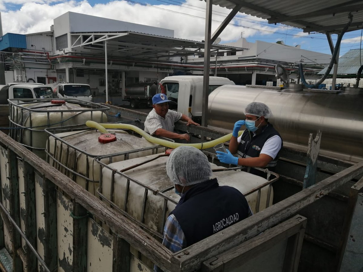 AgrocalidadZ1's tweet photo. #Carchi | #Agrocalidad realizó un operativo de control de comercialización y movilización de suero de leche líquido. En cumplimiento del Acuerdo 177 y Resolución 0241 con 96 845 litros controlados donde no hubo decomisos en cantón Montúfar #ProtegemosLoQueConsumes https://t.co/zYdf6vuGdL