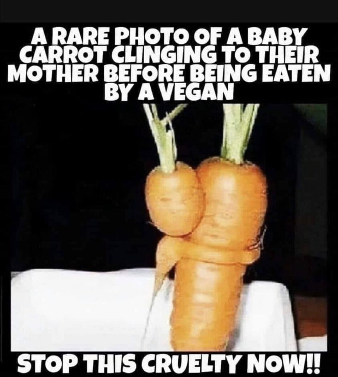 This cruelty needs to stop....