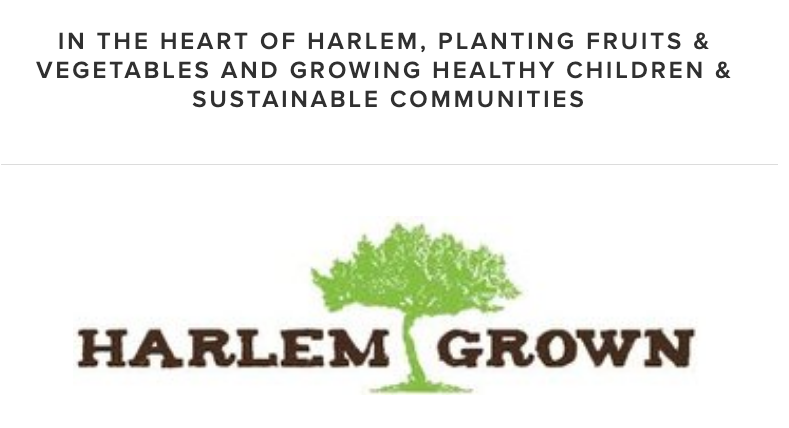 MrRhodenbaugh's tweet photo. If you're still looking for a nonprofit to support this holiday season, I hope you will consider donating to @HarlemGrown through @patagonia action works. My friend Tony Hillery continues to do incredible work! #AnswerwithAction
https://t.co/linQajwBAB https://t.co/4G0GHo29cP