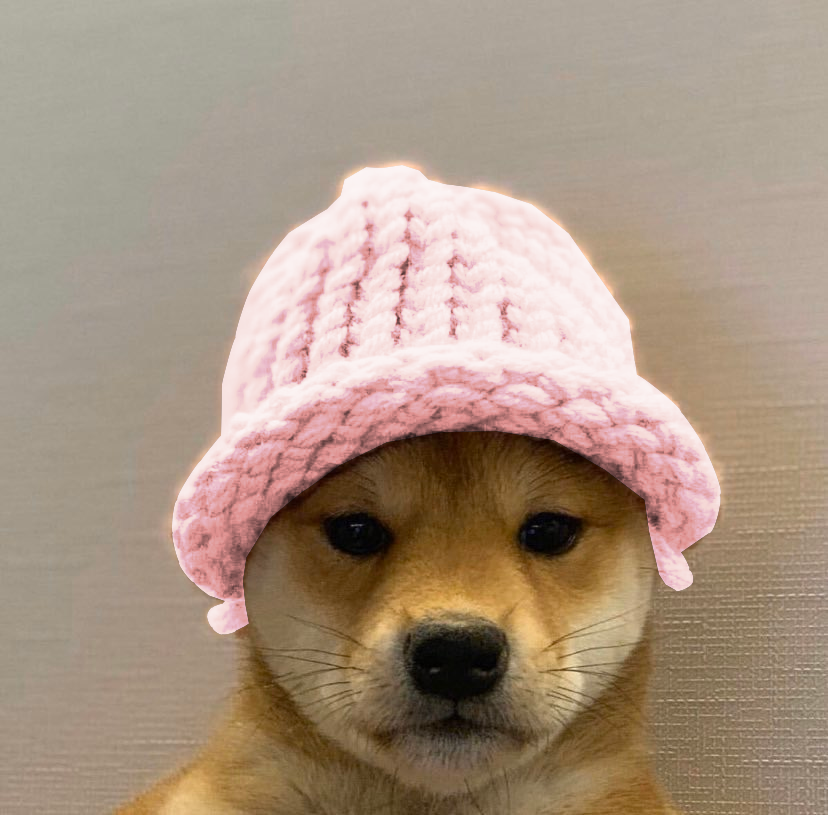 picture Pink Pfp With Hat made some more colorful dog wif hats
