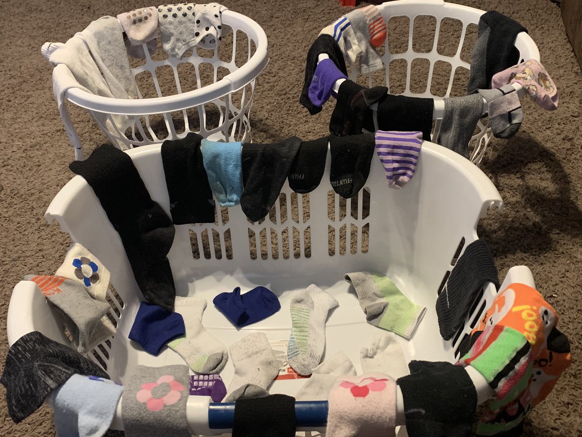 TheDancingBear tweet media