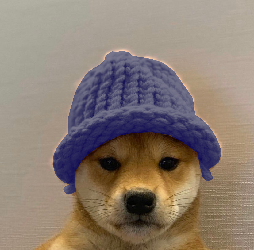 Собака в шапке мем. Ава песика в шапке. Шапочка для собаки. Ава собака в шапке. Dogwifhat.