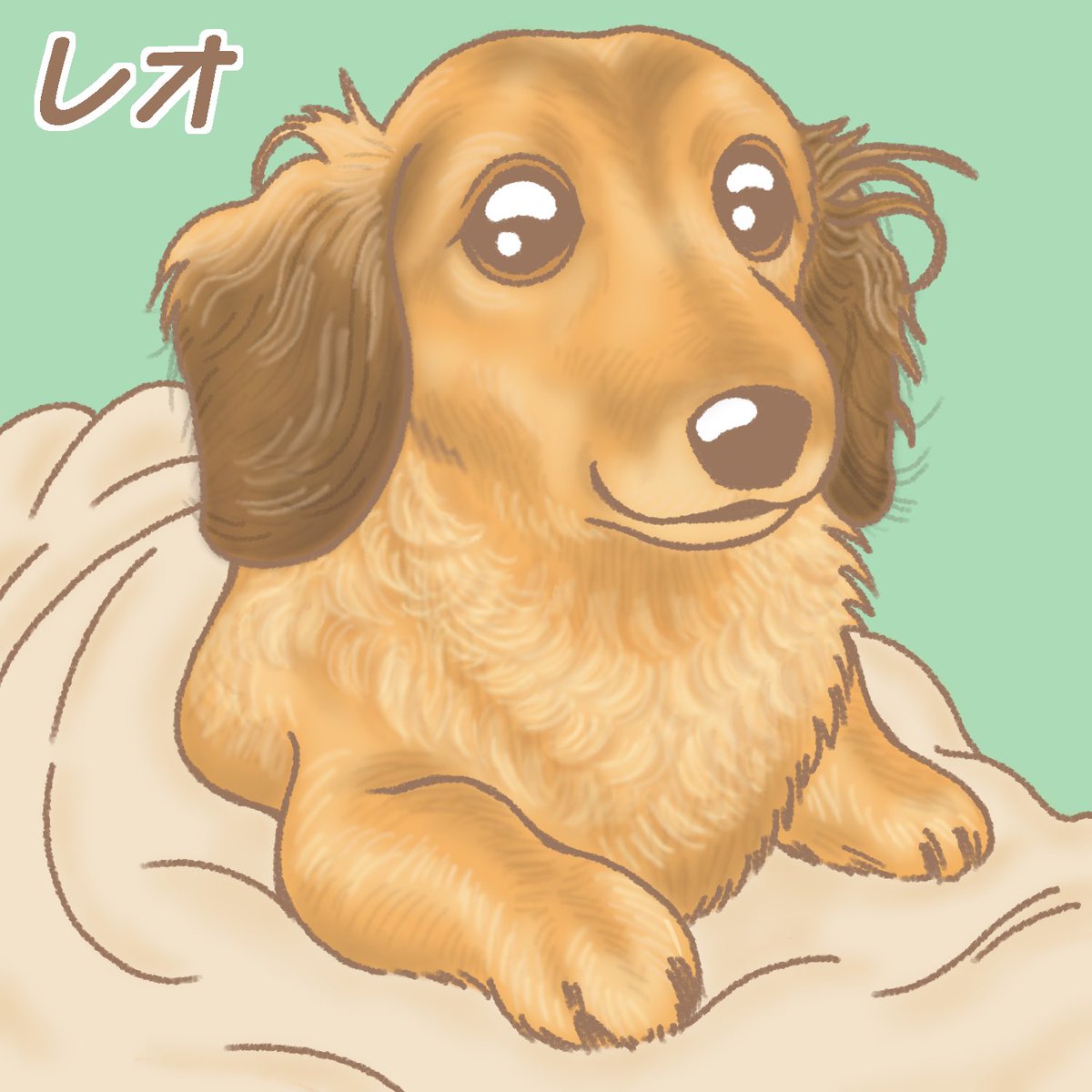 no humans animal focus dog simple background solo looking at viewer brown eyes  illustration images