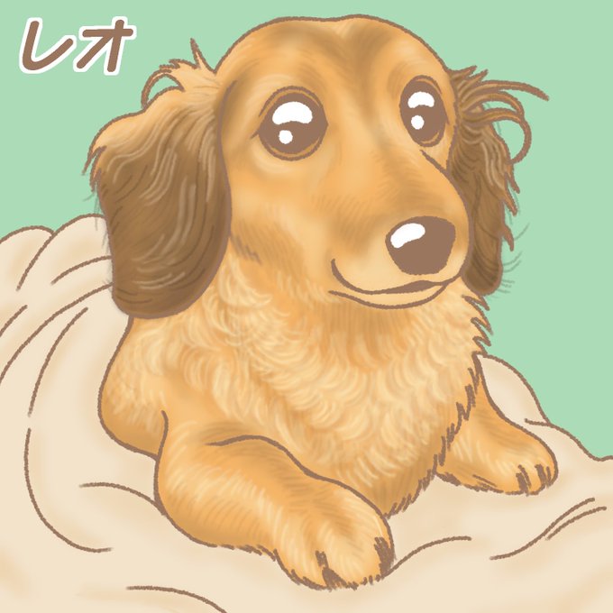 「bed sheet brown eyes」 illustration images(Latest)