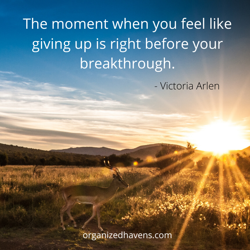 OrganizerTaryn's tweet photo. The moment when you feel like giving up is right before your breakthrough. #quote #motivation https://t.co/NuuxFdVqIX