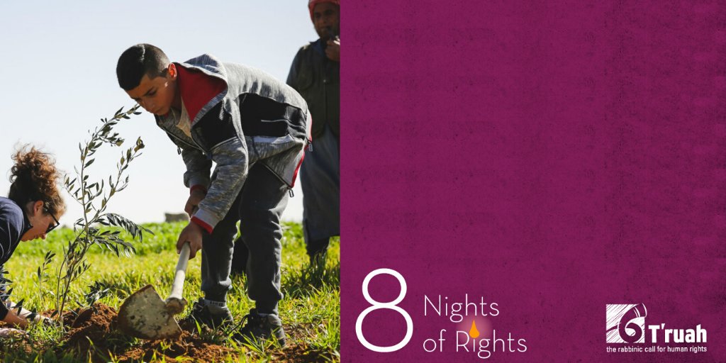 truahrabbis's tweet photo. Happy fifth night of #Chanukah and #8NightsofRights! #WorldZionistCongress elections begin next month, and T’ruah is part of the #Hatikvah slate. Get ready to vote and help us direct #Israel funding to #progressive causes: https://t.co/wz4Gzvr16E https://t.co/FxmgbLQI8v