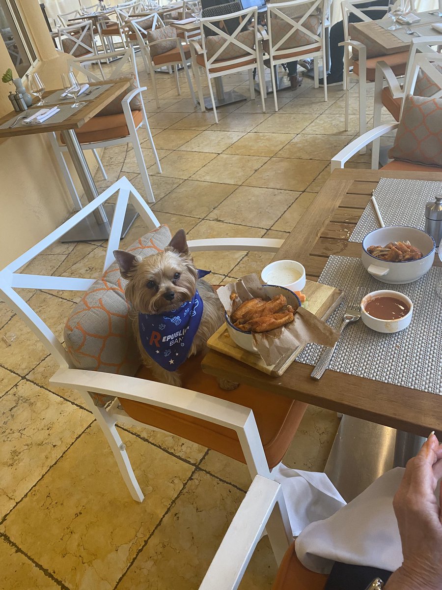 I hope everyone is enjoying their holidays- I’m enjoying my Buffalo wings at my favorite hotel The Eau in #PalmBeach