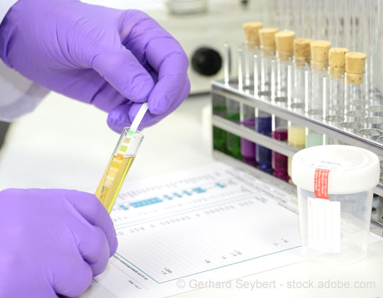 Land_Line_Mag's tweet photo. FMCSAβs random drug testing rate to double in 2020
https://t.co/GC0dON2Cy9
By @SchremLandLine
#Trucking #DrugScreening #ControlledSubstances #RandomDrugTest @FMCSA https://t.co/9sQ0837R3J