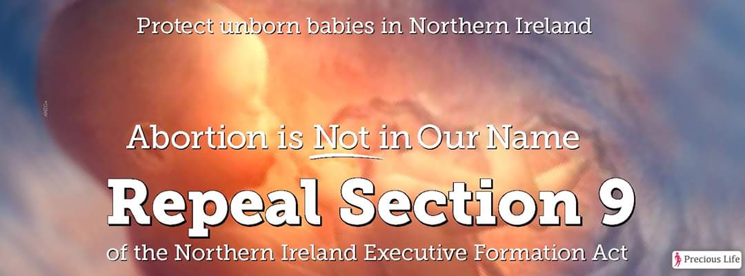 PreciousLifeCom's tweet photo. #RepealSection9
#Abortion is #Notinourname
#2020goals #Lovethemboth #prolife #ProlifeandProud https://t.co/N4RIaWeO8f