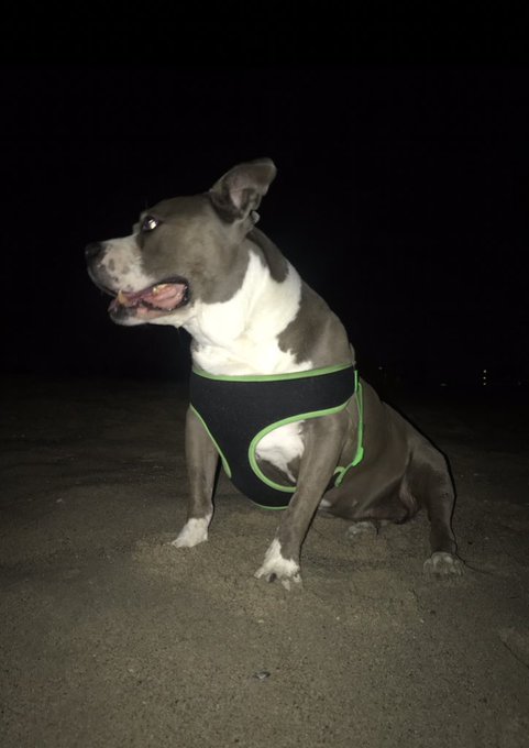 Missing u. One month today and I just miss You more every day. Play w mommas for us, we miss You guys<a href="/tag/depressionfeelslike"class="tags"><span>#depressionfeelslike</span></a>