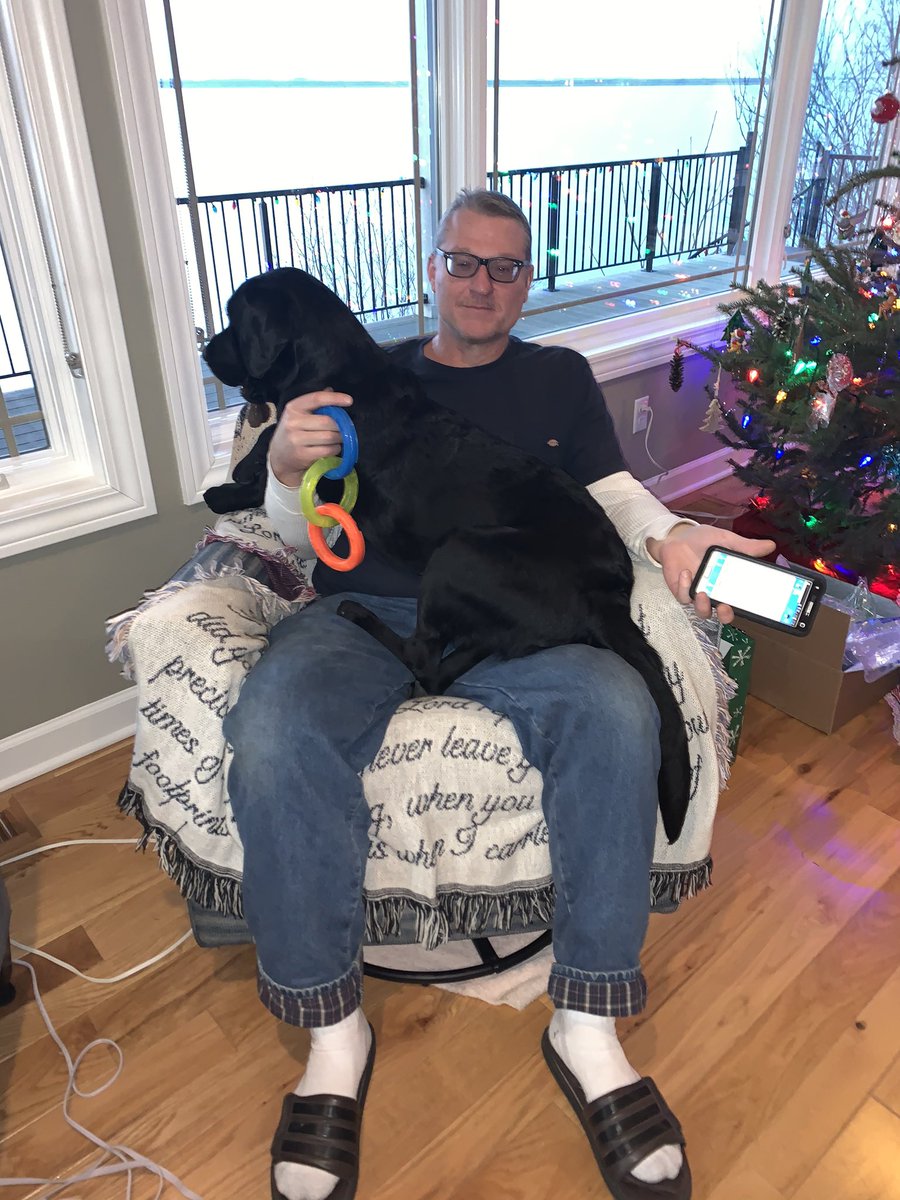 4paws_sitter's tweet photo. am lap dog. good lap dog. https://t.co/Bh0MmdIf0U