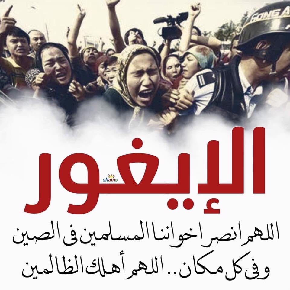ابو الخطاب اليماني tweet media
