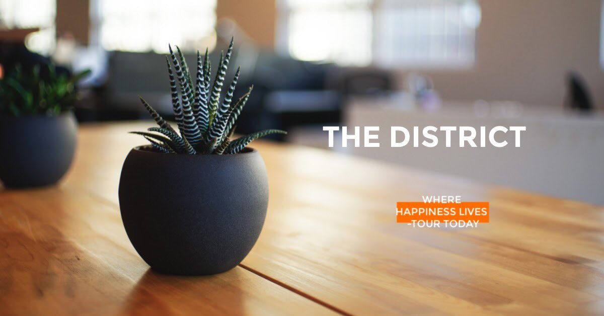 thedistrictbr's tweet photo. “‘Twas was the day after Christmas” https://t.co/0OsZ46j9CE